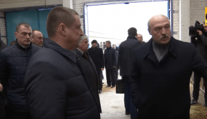 "Всех в следственный изолятор", Лукашенко арестовал чиновников из за "обосранных" коров. Видео