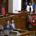 Знову таємні знаки? На інавгурації Зеленського впало посвідчення президента. Відео