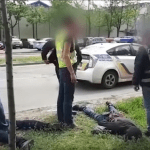 Стрельба в Києві: банда квартирних злодіїв тікаючи від поліції збила патрульного. Відео