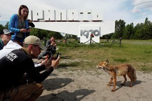 Після серіалу "Чорнобиль" туристи з усього світу їдуть в Прип'ять. Відео