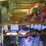 УВАГА РОЗШУК! В кафе під Києвом з ножем напали на підлітків. Відео