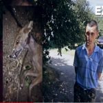 Під Полтавою нарешті піймали і вбили знамениту чупакабру. Відео