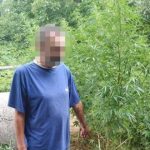 В Дніпрі поліція арештувала чоловіка, який ходив по місту з кущем коноплі. Відео