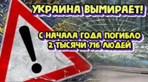 ЖАХ! І війни не треба!: З початку 2019 року в ДТП на дорогах України загинули 2 тис. 716 осіб