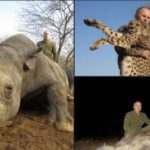 "Нестор ты мразь и живодер": Мережа шокована фото Шуфрича з убитими африканськими тваринами