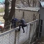 ДБР опублікувало відео, як Чорновіл перелізла на територію Бюро через паркан з колючим дротом