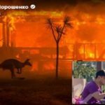 «Не будьте в омані»: Експрезидент Порошенко порадив Зеленському летіти в Австралію і тушити пожежу