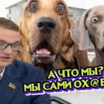 "Люди вибачте мені, я не хотів образити": Брагар вибачився перед пенсіонеркою і українцями за собаку