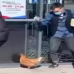 В масці і куркою на повідку: під Дніпром хлопець підірвав мережу, намагаючись уникнути штрафу