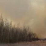 Дим закриває навіть сонце: У півсотні кілометрів від Києва почалася нова масштабна лісова пожежа. Відео