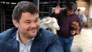 "За козла ответишь": Проти Андрія Богдана ініціюють кримінальну справу за жорстоке поводження з тваринами
