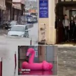 Харків затопило: по місту плавають машини та рожеві фламінго. Відео