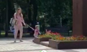 Мережу обурило відео з киянкою, яка вигулює дитину на поводку