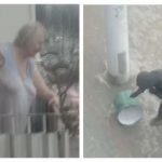 «Я дзвоню в КДБ»: в Мінську пенсіонерка скинула каструлю з балкона  на протестувальників. Відео