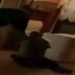 Представник омбудсмена Лисянський побив літнього охоронця в ресторані. Відео