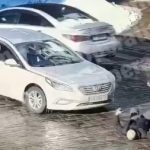 План перехват по Киеву: Водитель избил до смерти пешехода и скрылся на авто. Видео