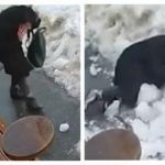 В центре Киева на женщину рухнула огромная глыба льда. Видео