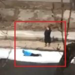 В Киеве маленький ребенок лазил по куску льдины, пока женщина болтала по телефону на берегу. Видео