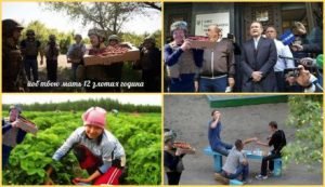 В сети большой ажиотаж, творчество и мемы на "клубничный" вояж блогера Петра Алексеевича 