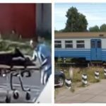 Она не слышит, а он не видит! Слепой Священник и его поводырь угодили под поезд в Коростене. Видео