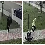 Ради интереса! В Ровно малолетние братья-близнецы с ножом напали на женщину прямо на улице. Видео