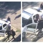 Шел 27-й день без Авакова! Драку полицейских засняли на видео прохожие в Белой Церкви. Видео