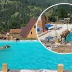 «Освежилась!». В Карпатах корова прыгнула в бассейн с детьми, искупалась, и пошла по своим делам. Видео