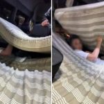 В Польшу под матрасами! Пограничники обнаружили очередного «уклониста» который спрятался между матрасами