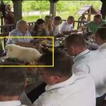 Рабы и вместе с собакой покушают! Лукашенко во время обеда с колхозниками усадил свою собаку посреди стола. ВИДЕО