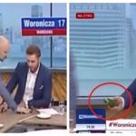 Скандал на ТВ Польща! Польський депутат Бурий поскандалив із телеведучим через російський огірок. ВІДЕО