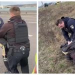 Новий скандал у Києві з мажорами на BMW! Скандальне відео із затриманням мажора який вдарив поліцейського