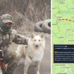 Стріляли з території Білорусі! У перестрілці на українсько-білоруському кордоні загинув боєць волинської тероборони