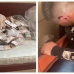 Мільйон доларів в дивані! З'явилося відео обшуків у ексзаступника Міністра оборони Олександра Миронюка