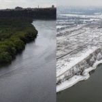 У Москві масово вирубують парки та ліси та встановлюють ППО