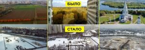 У Москві масово вирубують парки та ліси