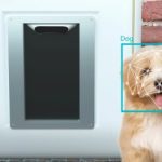 Розумні двері для домашніх тварин із функцією Face ID