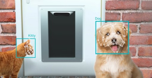 Розумні двері для домашніх тварин із функцією Face ID