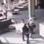 Снайпер в Івано-Франківську вистрілив у кримінального авторитета 