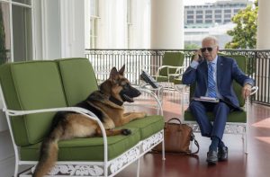  Biden with a dog