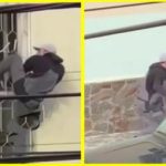 У Мукачеві хлопець втік із військкомату через вікно з ґратами 