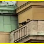 Давид Козак