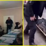 закарпаття сільрада