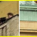 Стрільби у Празі. Загинули 11 людей, 30 поранено Стрільба у Празі. Подробиці. Наразі відомо, що стрілка звуть Давид Козак. Він відкрив вогонь з довгоствольної гвинтівки з оптикою в будівлі філософського факультету Карлового університету. Загинули 11 людей, включаючи стрілка, 30 осіб було поранено. У другій половині дня студенти та співробітники Карлового університету отримали електронний лист із проханням забарикадуватися. "Ми забарикадувалися на 2-му поверсі, стрілянина, ймовірно, була на 4-му", - розповідає один зі студентів. Також повідомляється, що після теракту та стрілянини Козак наклав на себе руки. "Стрілок кудись стрибнув і загинув, це добрий результат з погляду трагедії, але ми маємо все це проаналізувати та потім інформувати громадськість", - заявив мер Праги Богуслав Свобода.