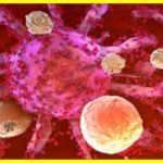 T-Cells of our immune system