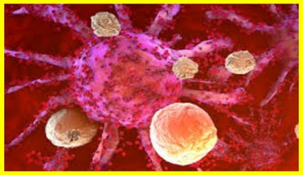 T-Cells of our immune system