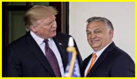 Trump praises Hungarian Prime Minister Orban