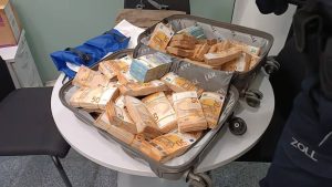 A Ukrainian pensioner was detained in Germany with 455,000 euros