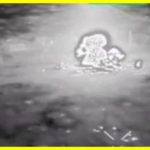 At night, the Ukrainian military repelled the Russian offensive in the direction of Zaporozhye. The personnel of the occupiers fled, and the equipment was destroyed