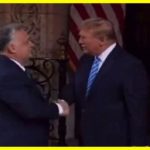 Orban arrived in the USA, where he met with Trump