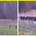 They ran with ladders, nails and boards. Polish border guards and the military repelled the breakthrough of more than 200 migrants from the territory of Belarus